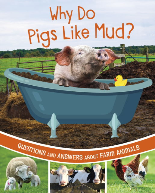 Cover for Katherine Rawson · Why Do Pigs Like Mud?: Questions and Answers About Farm Animals - Farm Explorer (Hardcover Book) (2023)