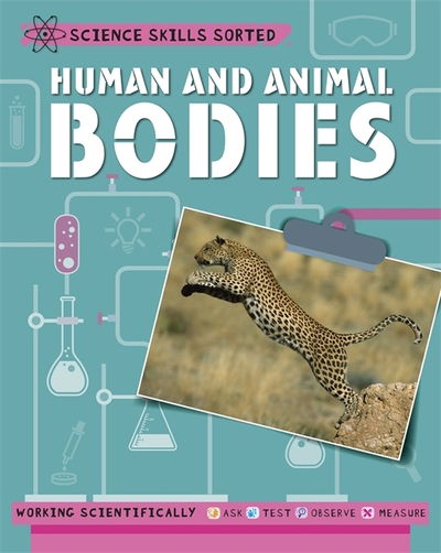 Cover for Angela Royston · Science Skills Sorted!: Human and Animal Bodies - Science Skills Sorted! (Taschenbuch) (2019)