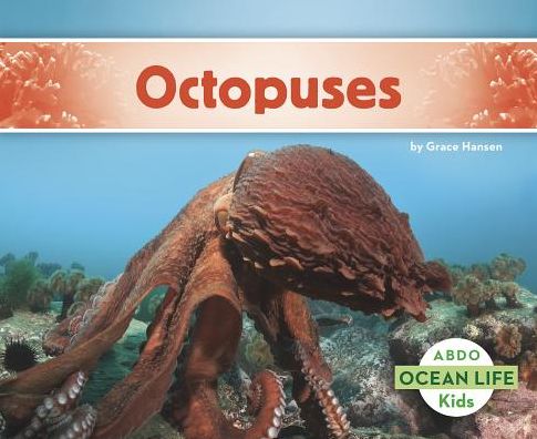 Octopuses - Ocean Life - Grace Hansen - Books - Capstone Classroom - 9781496612540 - 2017