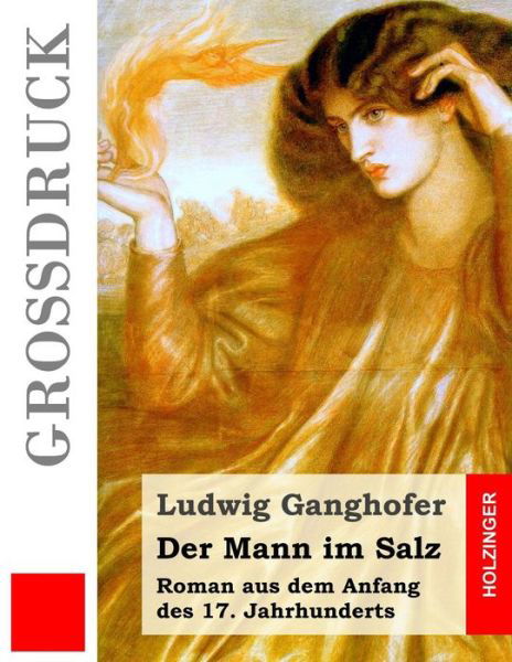 Cover for Ludwig Ganghofer · Der Mann Im Salz (Grossdruck): Roman Aus Dem Anfang Des 17. Jahrhunderts (Taschenbuch) (2015)