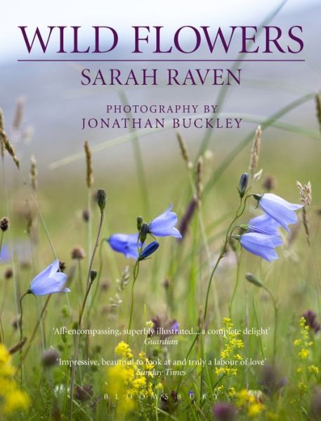 Sarah Raven's Wild Flowers - Sarah Raven - Bücher - Bloomsbury Publishing PLC - 9781526609540 - 7. März 2019