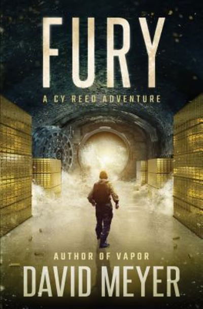 Fury - Professor of Sociology David Meyer - Livros - Createspace Independent Publishing Platf - 9781533018540 - 1 de fevereiro de 2016