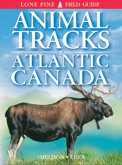 Cover for Ian Sheldon · Animal Tracks of Atlantic Canada (Paperback Book) (2021)