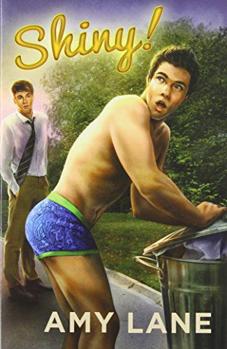 Shiny! - Amy Lane - Books - Dreamspinner Press - 9781627986540 - February 21, 2014