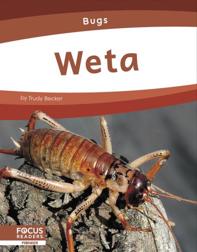 Weta - Trudy Becker - Książki - North Star Editions - 9781637394540 - 2023