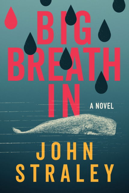 Cover for John Straley · Big Breath In (Hardcover Book) (2024)