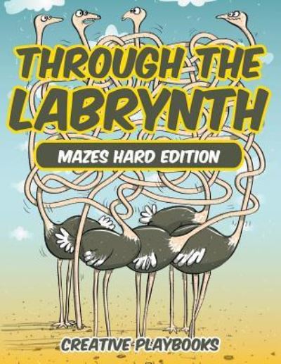 Cover for Creative Playbooks · Through the Labyrinth Mazes Hard Edition (Pocketbok) (2016)