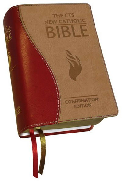 Cover for Catholic Truth Society · New Catholic Bible (Confirmation) (Leather Book) (2015)