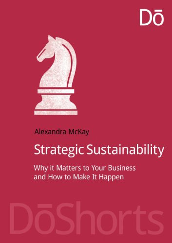 Cover for Alexandra McKay · Strategic Sustainability: Why it matters to your business and how to make it happen (Paperback Book) (2013)