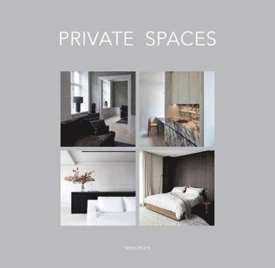 Private Spaces - Pauwels Wim - Bøger - Beta-Plus - 9782875500540 - 8. juli 2019