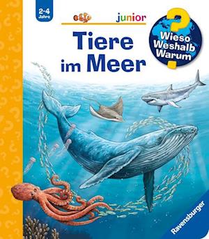 Cover for Saan, Anita Van; Wandtke, Sanna · Tiere Im Meer (MERCH)