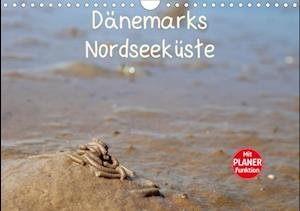 Cover for Valentino · Dänemarks Nordseeküste (Wandk (Bok)