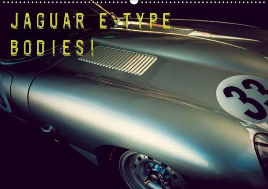 Cover for Hinrichs · Jaguar E-Type - Bodies (Wandka (Book)