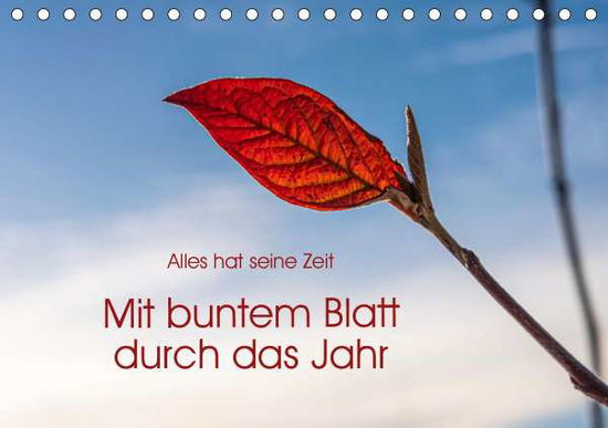 Cover for Seidl · Mit buntem Blatt durch das Jahr ( (Book)