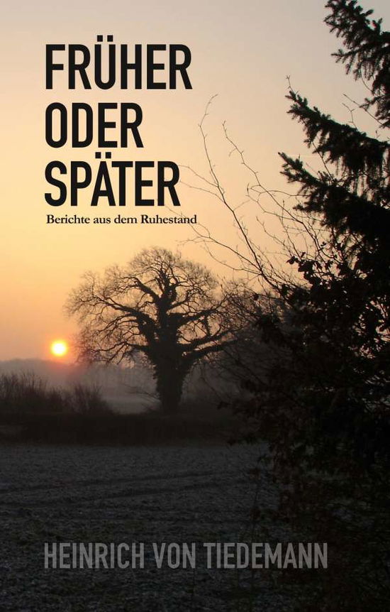 Cover for Tiedemann · Früher oder Später (Book)