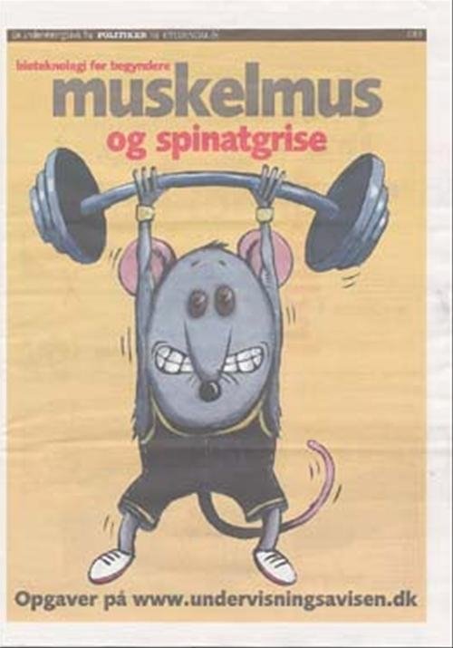 Cover for Maja Plesner · Undervisningsavisen: Muskelmus og spinatgrise - bioteknologi for begyndere (Sewn Spine Book) [1.º edición] (2005)