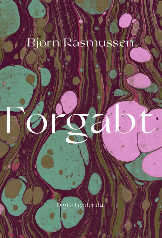 Cover for Bjørn Rasmussen · Forgabt (Hæftet bog) [1. udgave] (2021)