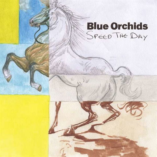 Speed The Day - Blue Orchids - Música - TINY GLOBAL PRODUCTIONS - 0076625972541 - 2 de julho de 2021