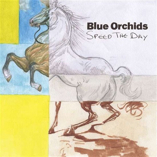 Blue Orchids · Speed The Day (CD) (2021)