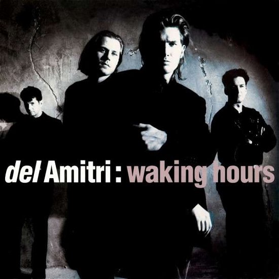 Waking Hours - Del Amitri - Muziek - MERCURY - 0602537533541 - 17 januari 2014
