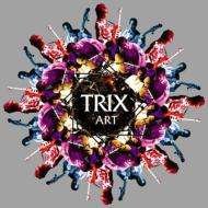 Cover for Trix · Art (CD) [Japan Import edition] (2006)