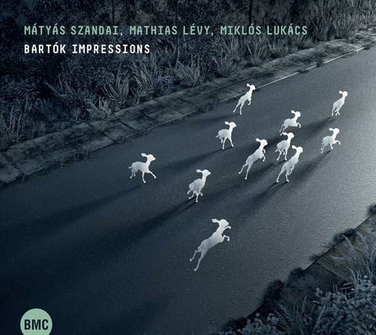 Cover for Szandai Matyas &amp; Levy Mathias &amp; Miklos Lucacs · Bartok Impressions (CD) [Digipak] (2018)