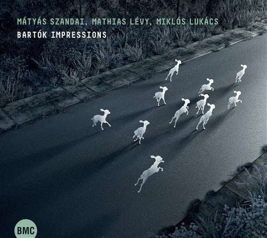 Szandai Matyas & Levy Mathias & Miklos Lucacs · Bartok Impressions (CD) [Digipak] (2018)