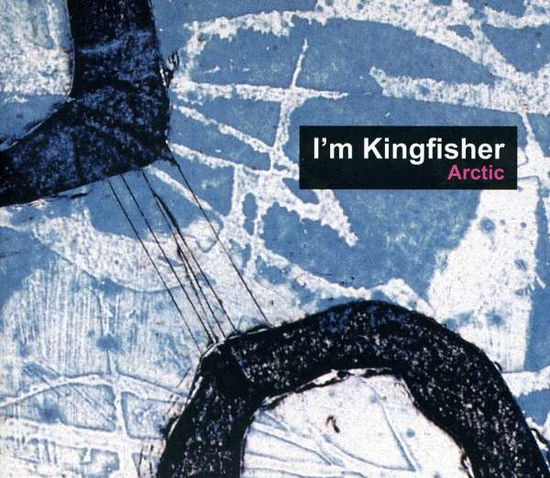 Cover for I'm Kingfisher · Arctic (CD) (2011)