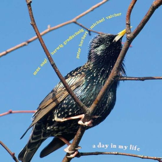 Cover for Nagl / Gradischnig / Herbert / Vatcher · Day in My Life (CD) (2014)