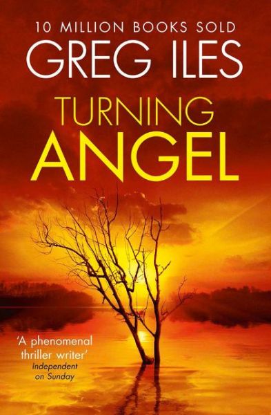 Cover for Greg Iles · Turning Angel (Pocketbok) (2014)