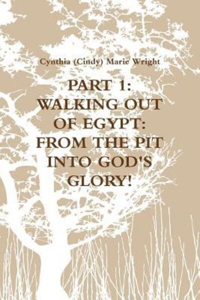 Cover for Cynthia (Cindy) Marie Wright · Part 1 : Walking out of Egypt : from the Pit into God's Glory! (Paperback Book) (2018)