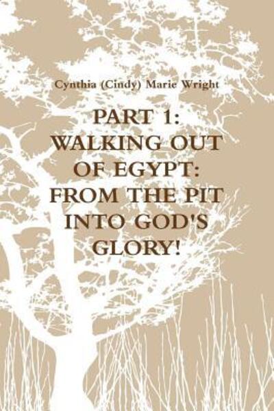 Cover for Cynthia (Cindy) Marie Wright · Part 1 : Walking out of Egypt : from the Pit into God's Glory! (Pocketbok) (2018)