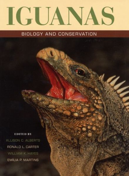Cover for Allison C Alberts, Ronald L Carter, William K Hayes, Emilia P Martins · Iguanas: Biology and Conservation (Hardcover Book) (2004)