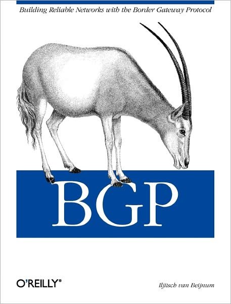 Cover for Iijitsch Van Beijnum · BGP: Building Reliable Networks with Border Gateway Protocol (Taschenbuch) (2002)