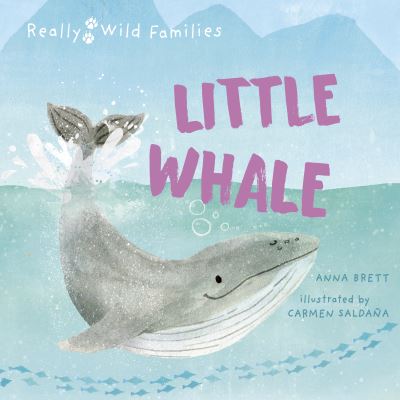 Cover for Anna Brett · Little Whale: A Day in the Life of a Whale Calf - Really Wild Families (Gebundenes Buch) (2023)