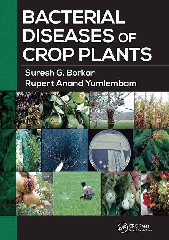 Cover for Suresh G. Borkar · Bacterial Diseases of Crop Plants (Paperback Book) (2021)