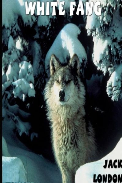 Cover for Jack London · White Fang (Paperback Book) (2024)