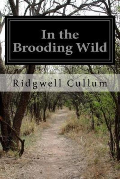 Cover for Ridgwell Cullum · In the Brooding Wild (Paperback Book) (2016)