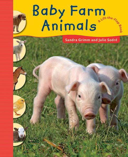 Cover for Sandra Grimm · Baby Farm Animals (Hardcover Book) (2012)