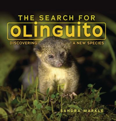 Cover for Sandra Markle · The Search for Olinguito: Discovering a New Species - Sandra Markle's Science Discoveries (Paperback Book) (2022)