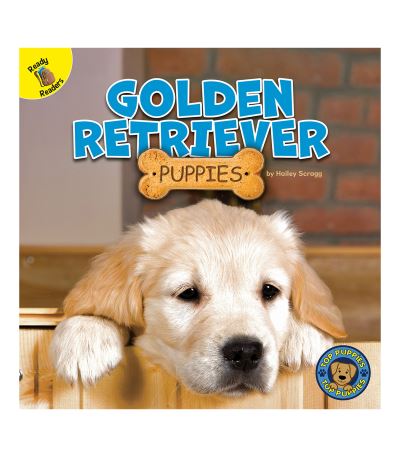 Cover for Hailey Scragg · Golden Retriever Puppies (Paperback Book) (2020)