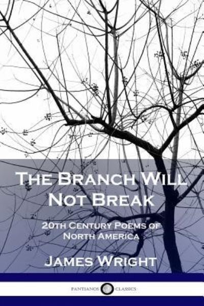 The Branch Will Not Break - James Wright - Livros - Pantianos Classics - 9781789870541 - 1959