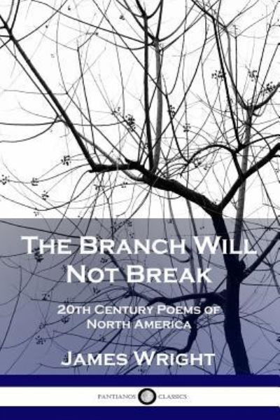Cover for James Wright · The Branch Will Not Break (Paperback Book) (1959)