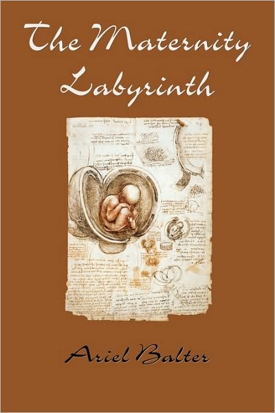 Cover for Ariel Baltar · The Maternity Labyrinth (Paperback Book) (2010)