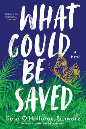 Cover for Liese O'Halloran Schwarz · What Could Be Saved: A Novel (Paperback Book) (2021)