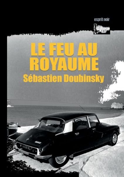 Cover for Doubinsky · Le feu au royaume (Bok) (2019)