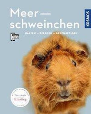 Cover for Beck · Meerschweinchen (Bog)