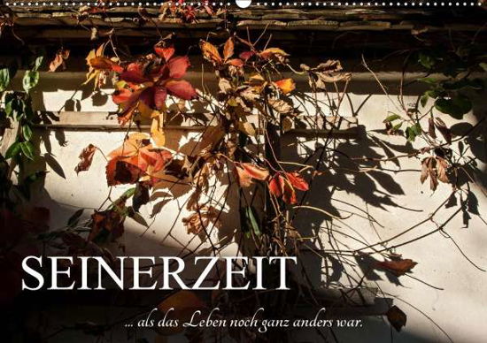 Cover for Bartek · Seinerzeit (Wandkalender 2020 DI (Book)