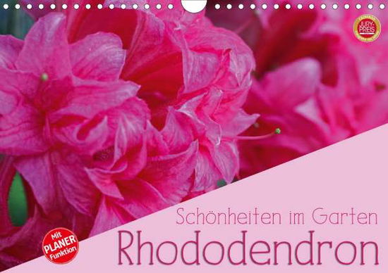 Cover for Cross · Rhododendron Schönheiten im Garte (Book)