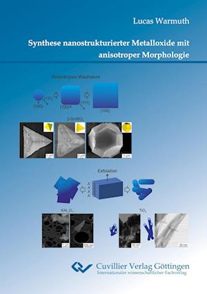 Cover for Lucas Warmuth · Synthese nanostrukturierter Metalloxide mit anisotroper Morphologie (Paperback Book) (2021)